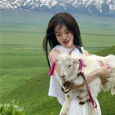 赖猫的狮子倒影